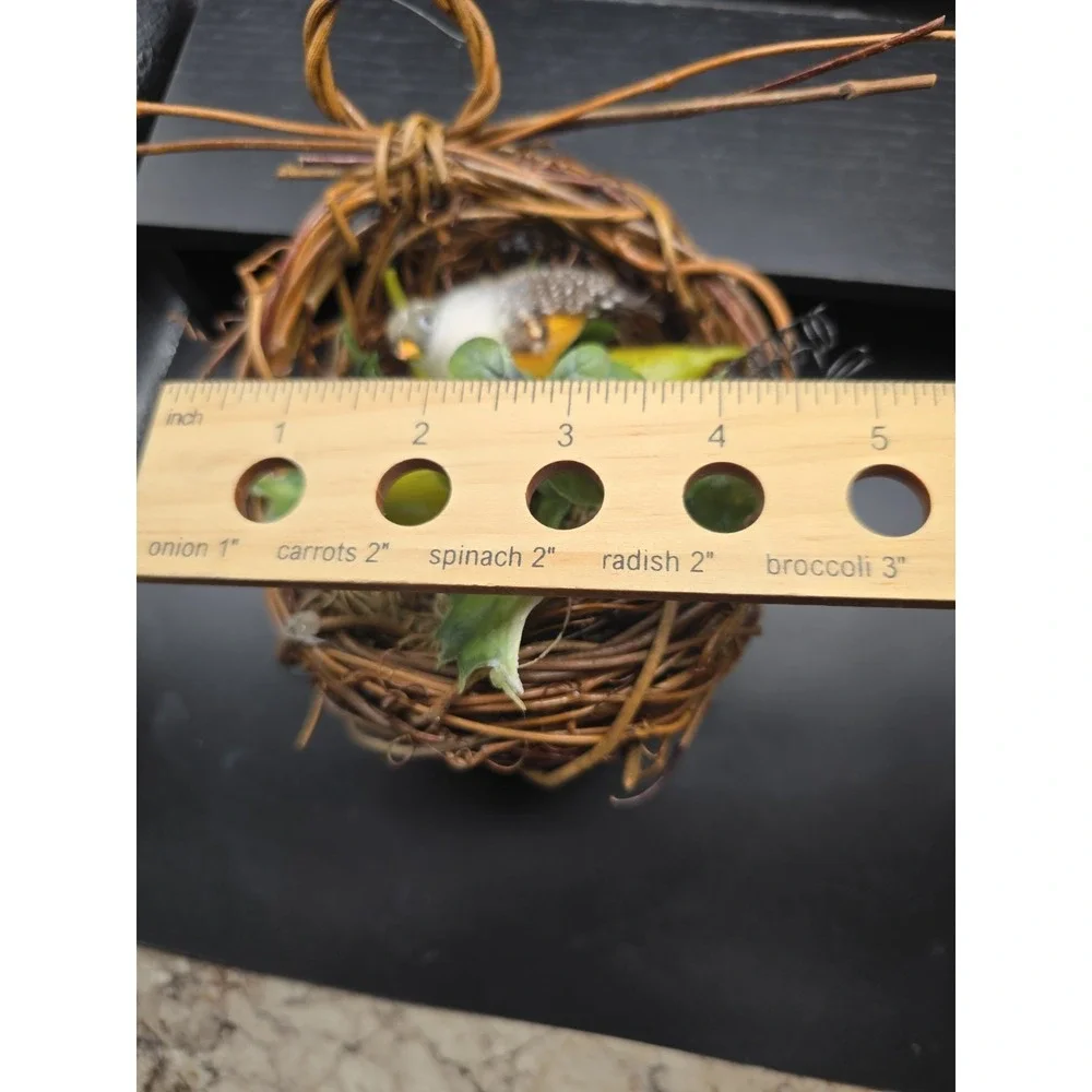 Rustic Bird Nest Wreath Christmas Ornament Holiday Decoration